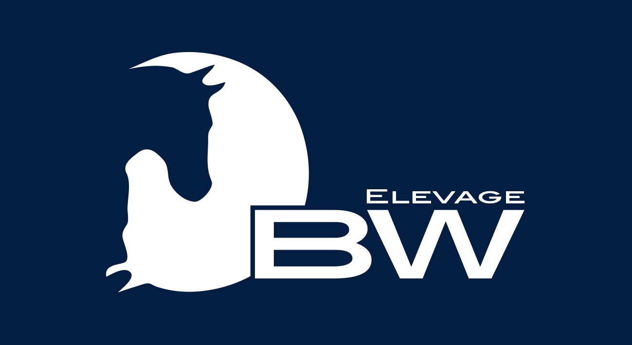 BW ELEVAGE