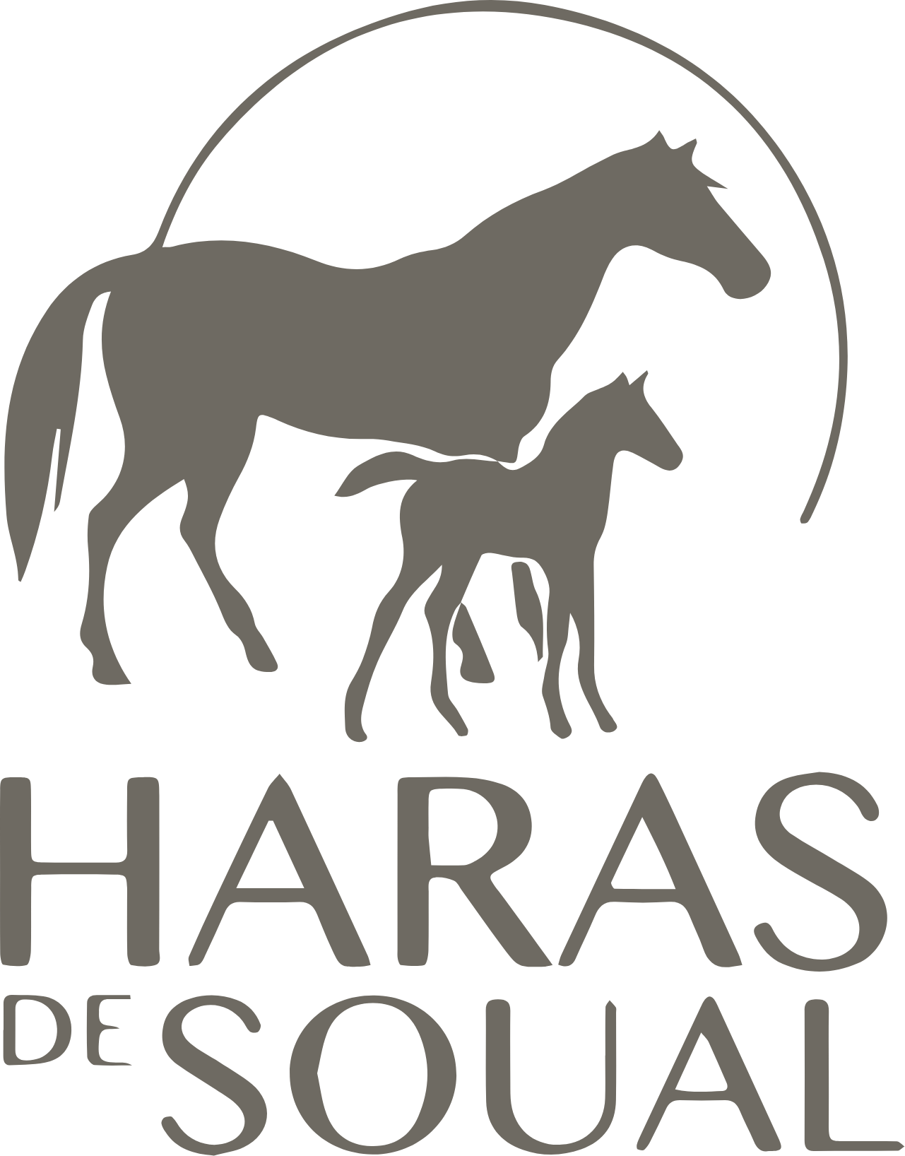 Haras de Soual