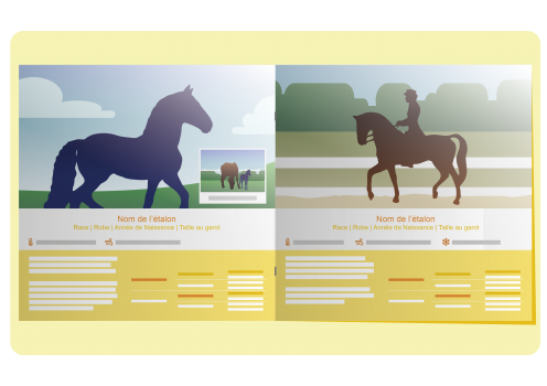 Catalogue sur-mesure pour présenter vos chevaux