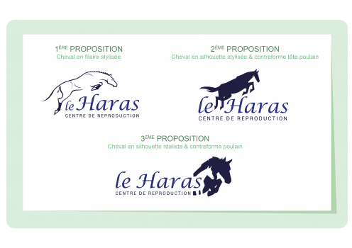 Premières propositions suite aux échanges