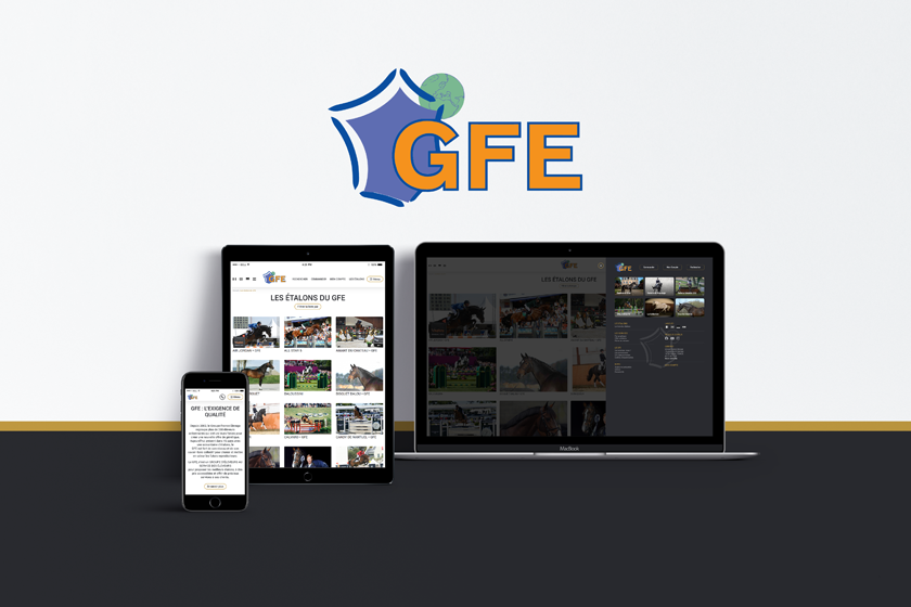 Refonte du site Internet du GFE