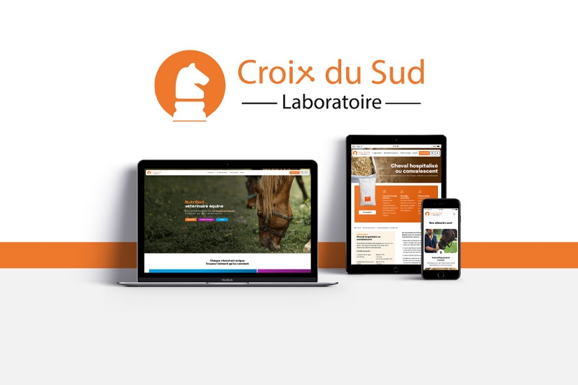 Création du site internet de Croix Du Sud