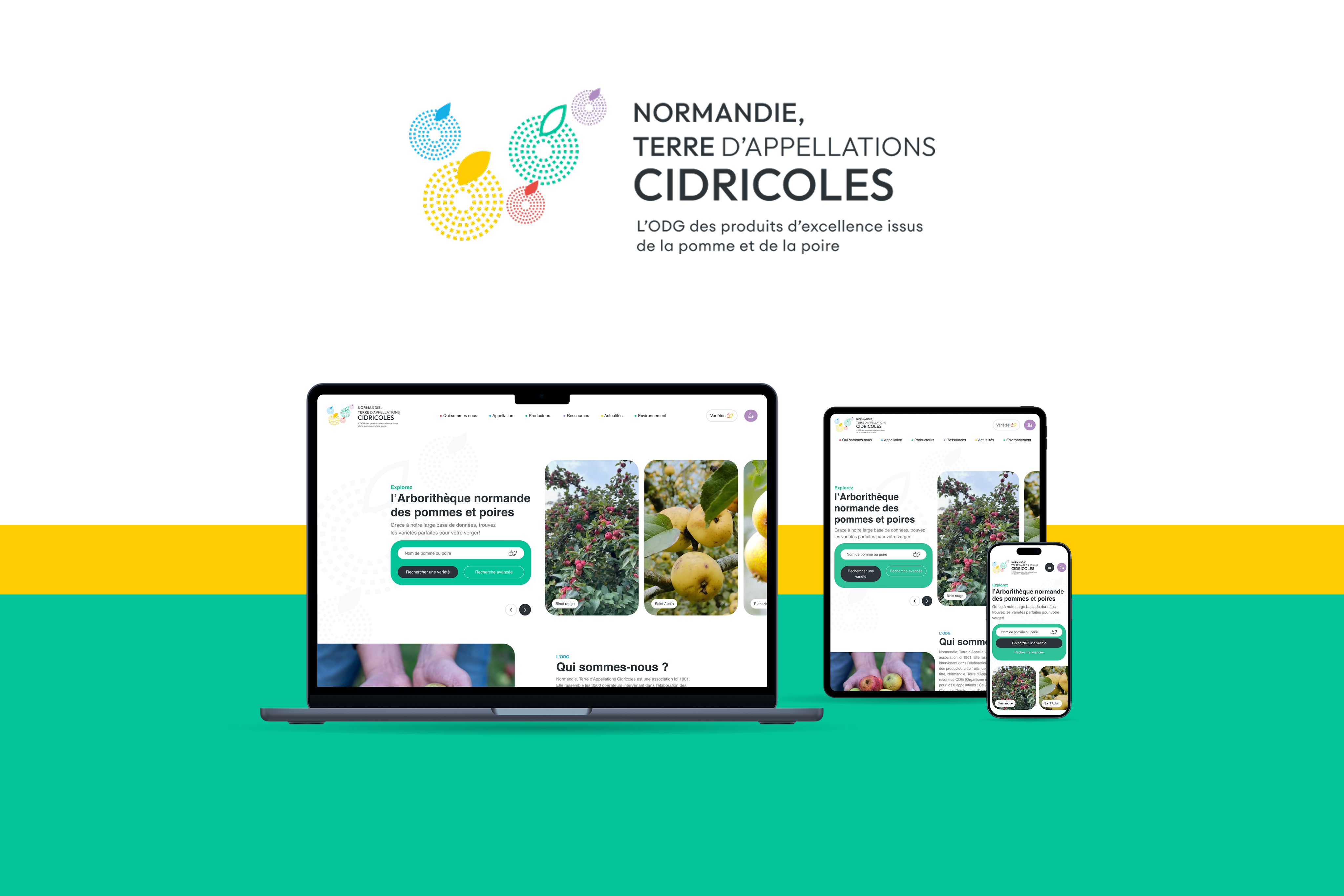 Mises à jours du site internet de Normandie Terre d'Appelations Cidricole